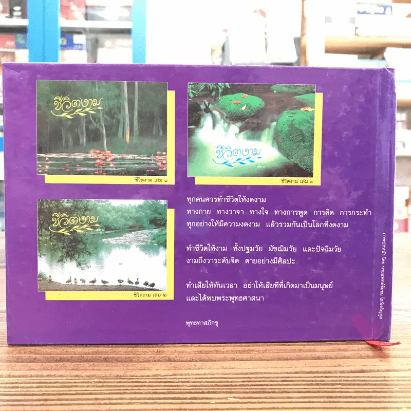 ชีวิตงาม รวมเล่ม 1-2-3 รูปที่ 16