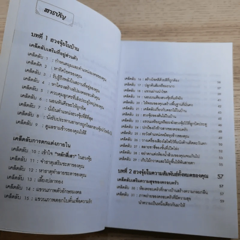 สำเร็จเคล็ดลับด้วยฮวงจุ้ย - อำนวยชัย ปฎิพัทธ์เผ่าพงศ์ รูปที่ 9