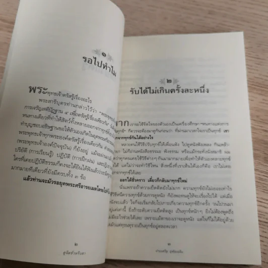ดูจิตชั่วพริบตา - ปัญญาวโรภิกขุ (ประเสริฐ อุทัยเฉลิม) รูปที่ 14