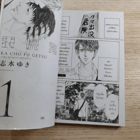 หุบเขาแห่งรัก เล่ม 1-3 - Yuki Shimizu รูปที่ 8