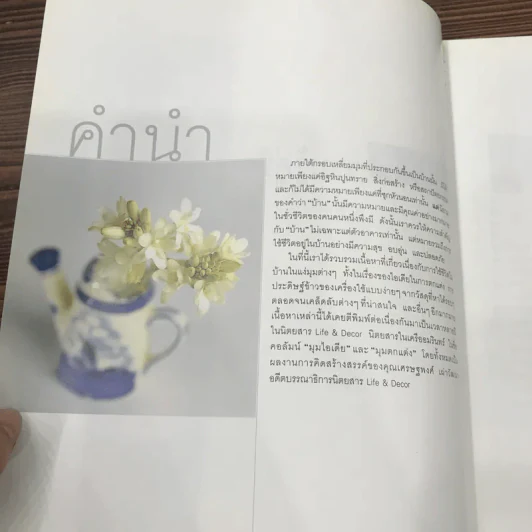 ความรู้คู่บ้าน มุมไอเดีย - เศรษฐพงศ์ เผ่าวัฒนา รูปที่ 7