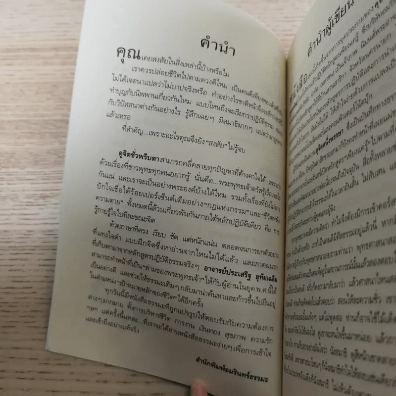 ดูจิตชั่วพริบตา - ปัญญาวโรภิกขุ (ประเสริฐ อุทัยเฉลิม) รูปที่ 11