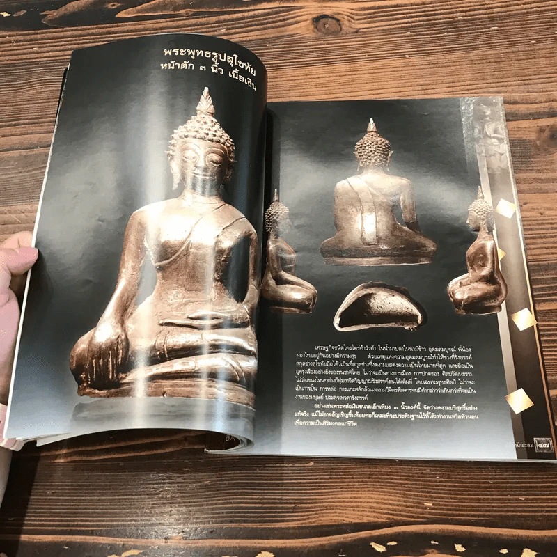 คู่มือนักสะสม ฉบับที่ 10 ส.ค.2552 รูปที่ 13