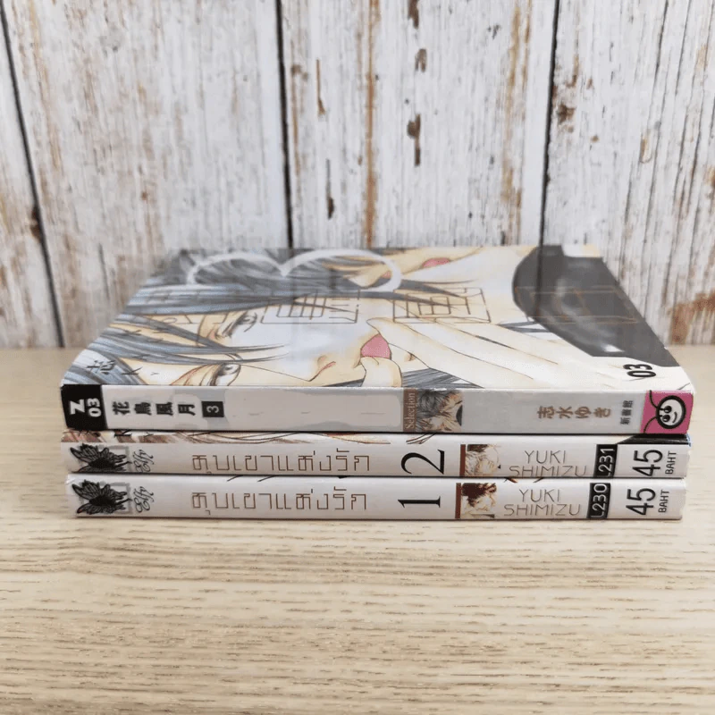 หุบเขาแห่งรัก เล่ม 1-3 - Yuki Shimizu รูปที่ 3