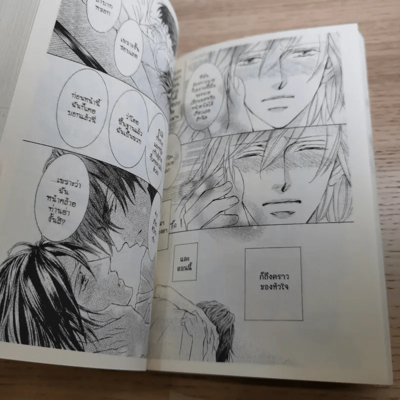 หุบเขาแห่งรัก เล่ม 1-3 - Yuki Shimizu รูปที่ 20