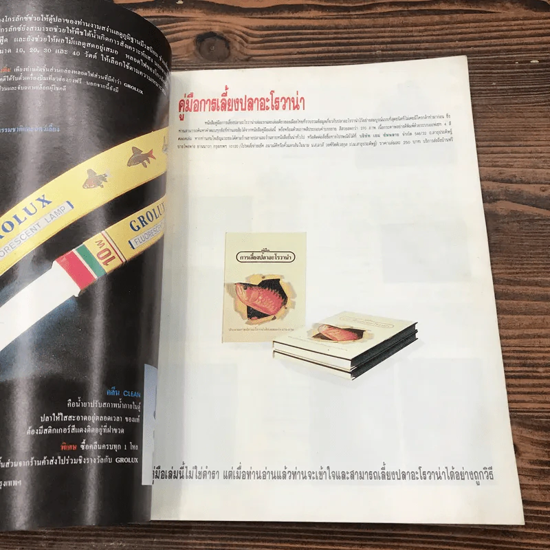 ธรรมชาติและสัตว์เลี้ยง ปีที่ 1 ฉบับที่ 1 พ.ค.2532 (ฉบับปฐมฤกษ์) รูปที่ 6