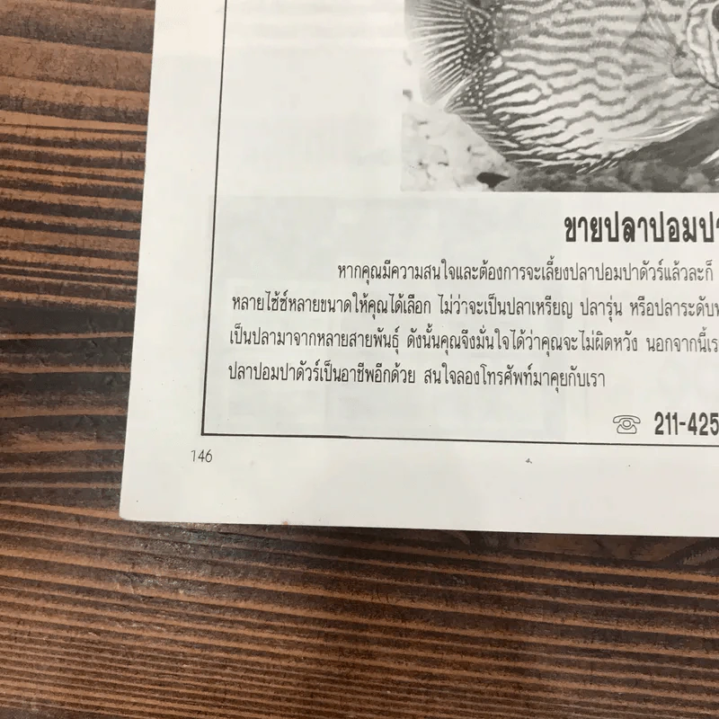 ธรรมชาติและสัตว์เลี้ยง ปีที่ 1 ฉบับที่ 1 พ.ค.2532 (ฉบับปฐมฤกษ์) รูปที่ 11