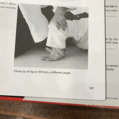 Best Aikido The Fundamentals รูปที่ 13