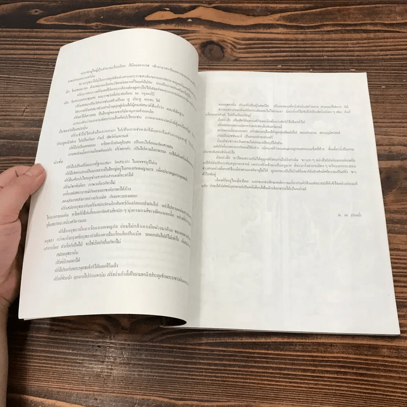 น.ณ ปากน้ำ ฝรั่งในศิลปะไทย รูปที่ 8