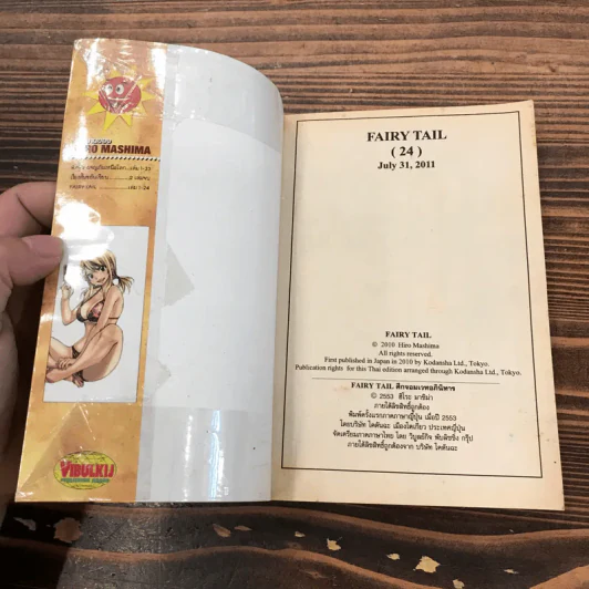 Fairy Tail แฟรี่เทล ศึกจอมเวทอภินิหาร เล่ม 20,21,22,23,24,25,43 รูปที่ 14
