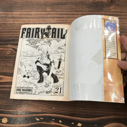 Fairy Tail แฟรี่เทล ศึกจอมเวทอภินิหาร เล่ม 20,21,22,23,24,25,43 รูปที่ 21