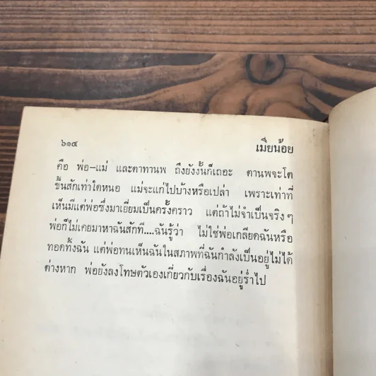เมียน้อย 2 เล่มจบ - ทมยันตี รูปที่ 15
