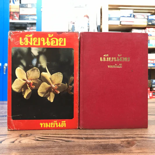 เมียน้อย 2 เล่มจบ - ทมยันตี รูปที่ 1