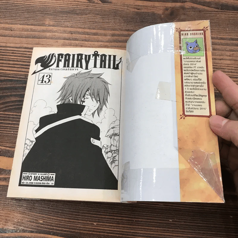 Fairy Tail แฟรี่เทล ศึกจอมเวทอภินิหาร เล่ม 20,21,22,23,24,25,43 รูปที่ 11