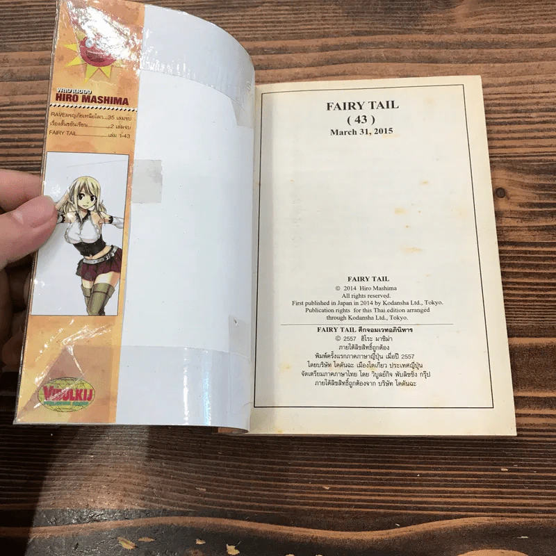 Fairy Tail แฟรี่เทล ศึกจอมเวทอภินิหาร เล่ม 20,21,22,23,24,25,43 รูปที่ 10