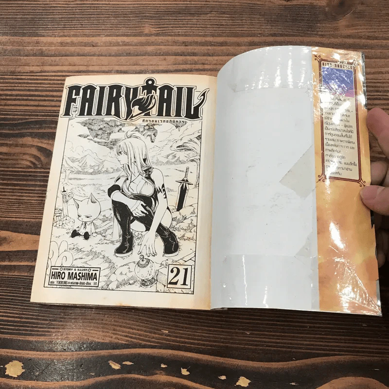 Fairy Tail แฟรี่เทล ศึกจอมเวทอภินิหาร เล่ม 20,21,22,23,24,25,43 รูปที่ 21