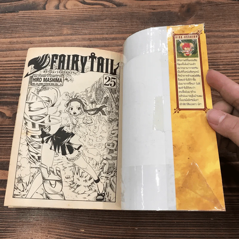 Fairy Tail แฟรี่เทล ศึกจอมเวทอภินิหาร เล่ม 20,21,22,23,24,25,43 รูปที่ 13