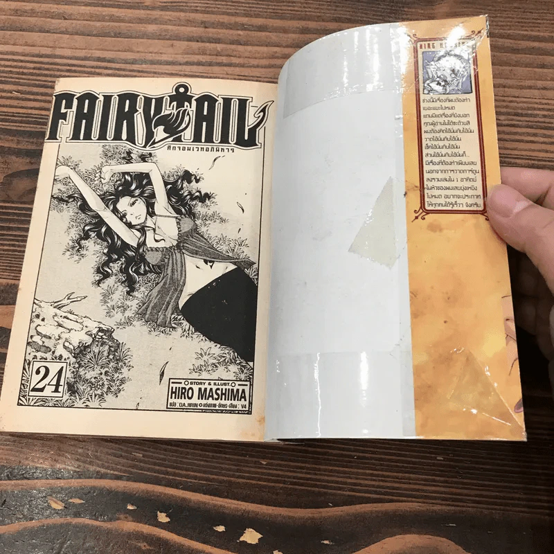 Fairy Tail แฟรี่เทล ศึกจอมเวทอภินิหาร เล่ม 20,21,22,23,24,25,43 รูปที่ 15