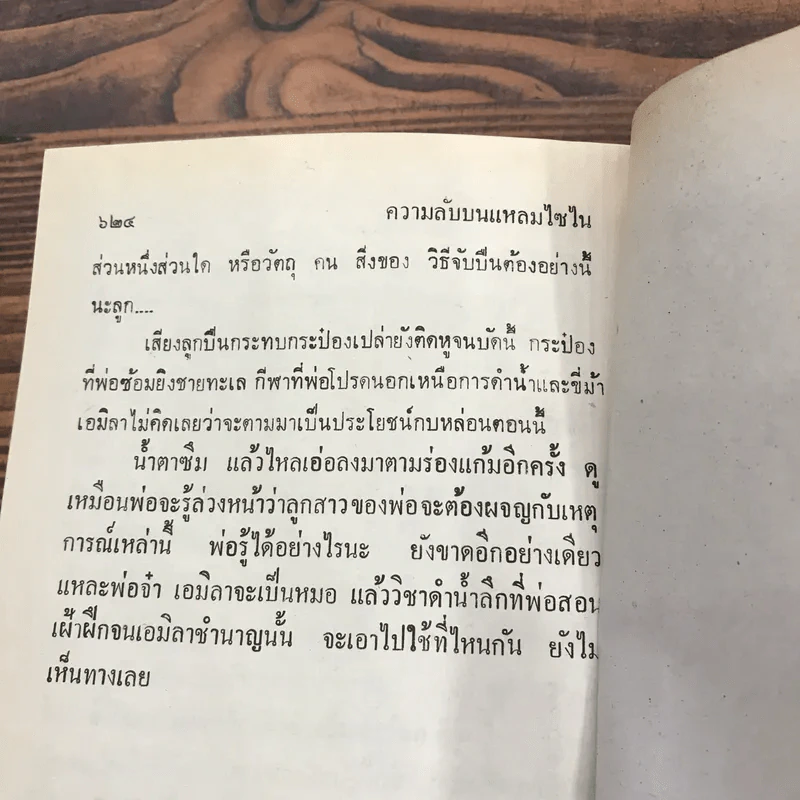 ความลับบนแหลมไซไน 2 เล่มจบ - โสภาค สุวรรณ รูปที่ 11