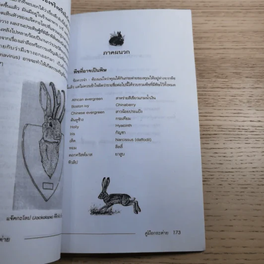 คู่มือกระต่าย The Rabbit Handbook - กณิกกนันท์ ลีฬวรรณ รูปที่ 12