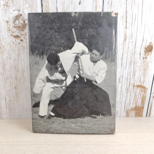 Stick Fighting รูปที่ 2