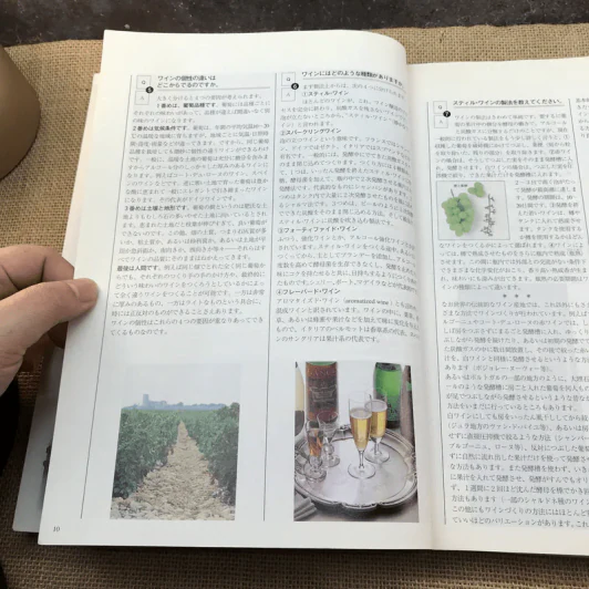 World Wine Catalogue 1999 by Suntory รูปที่ 16