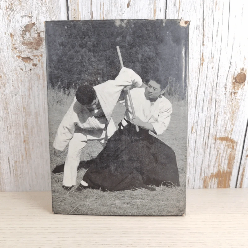 Stick Fighting รูปที่ 2