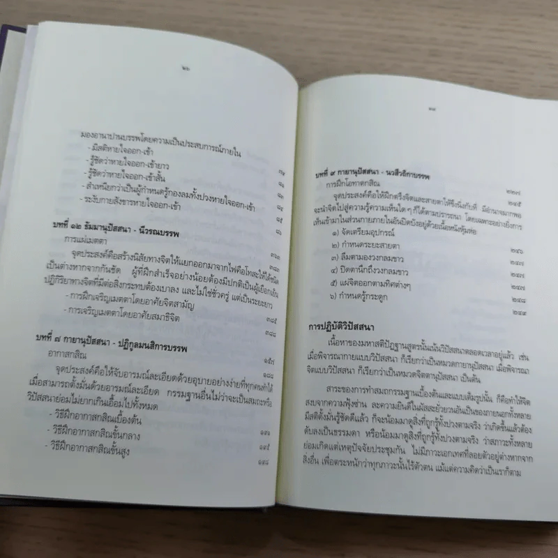 มหาสติปัฏฐานสูตร - ดังตฤณ รูปที่ 19