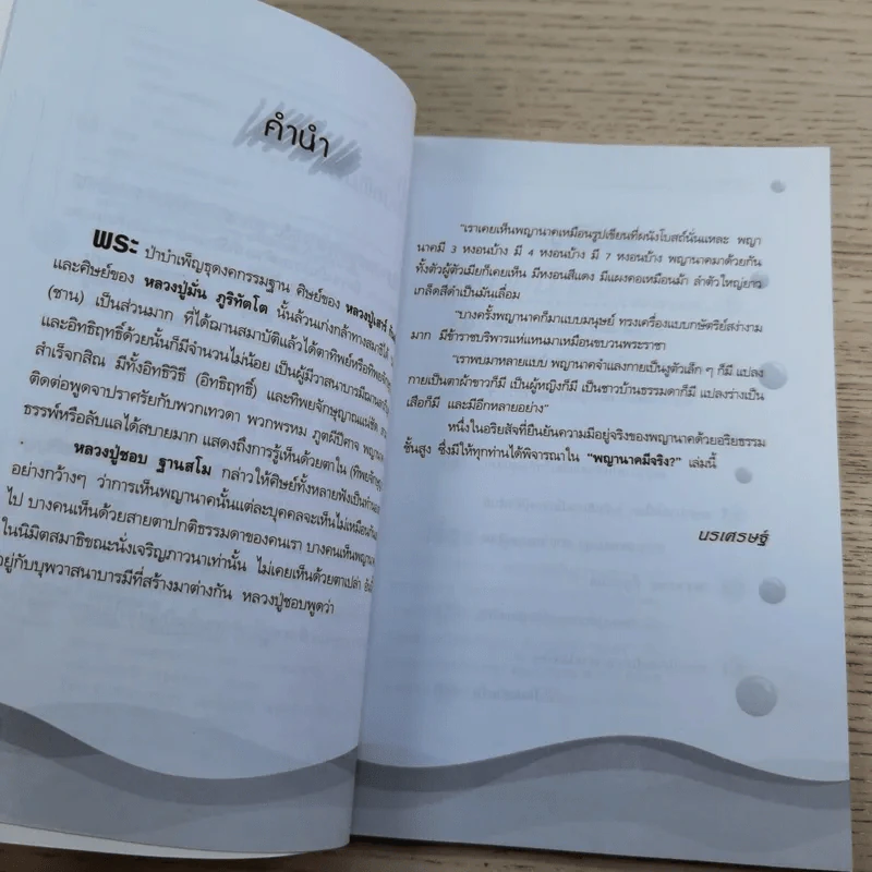 พญานาคมีจริง - นรเศรษฐ์ รูปที่ 9