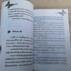 บุญฤทธิ์ - จอมไทย มาร์ติน รูปที่ 9