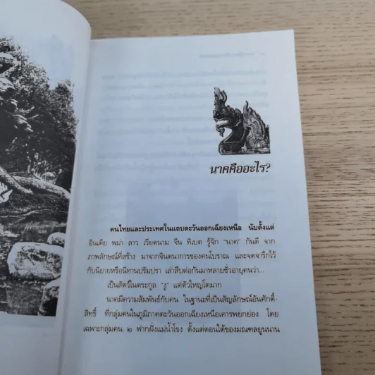 คำชะโนด เมืองพญานาค - ลอง ธารา รูปที่ 10