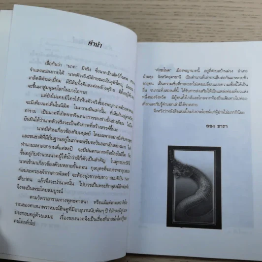 คำชะโนด เมืองพญานาค - ลอง ธารา รูปที่ 8