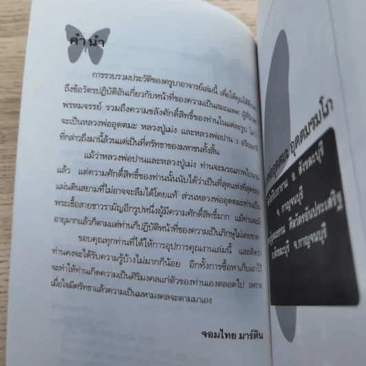 บุญฤทธิ์ - จอมไทย มาร์ติน รูปที่ 8