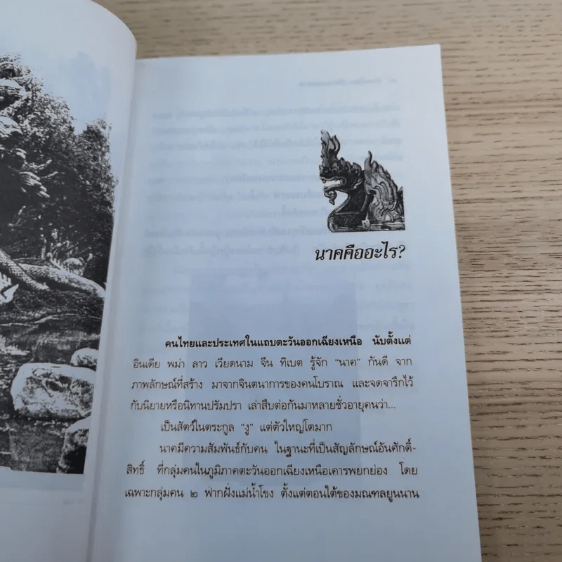 คำชะโนด เมืองพญานาค - ลอง ธารา รูปที่ 10