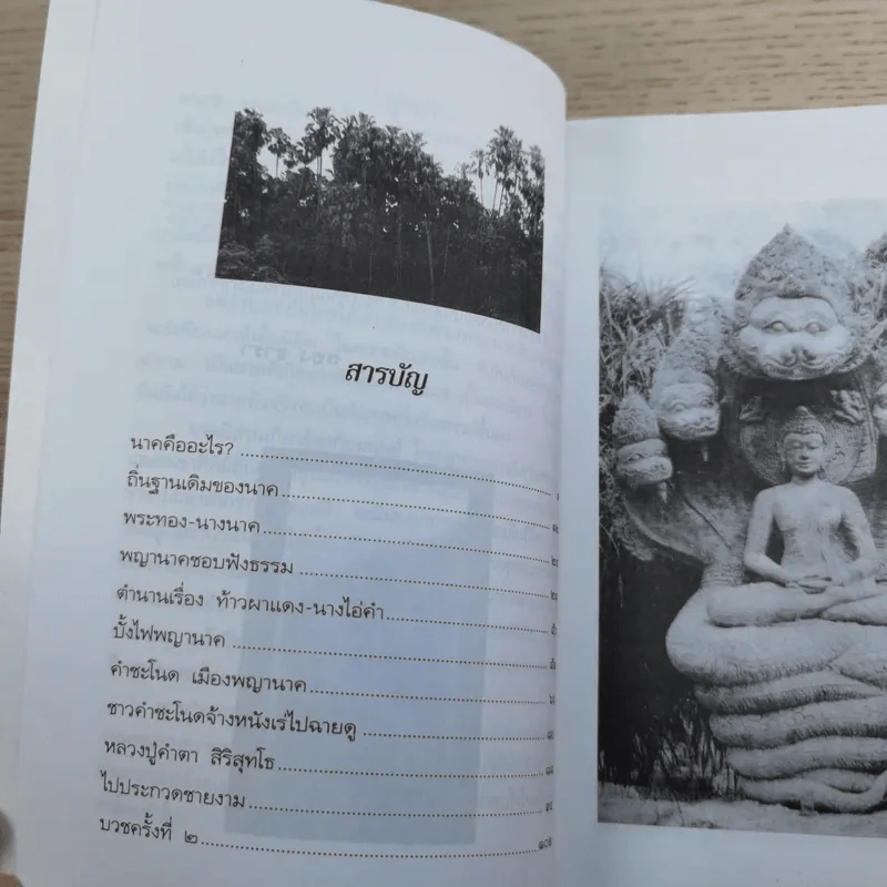 คำชะโนด เมืองพญานาค - ลอง ธารา รูปที่ 9