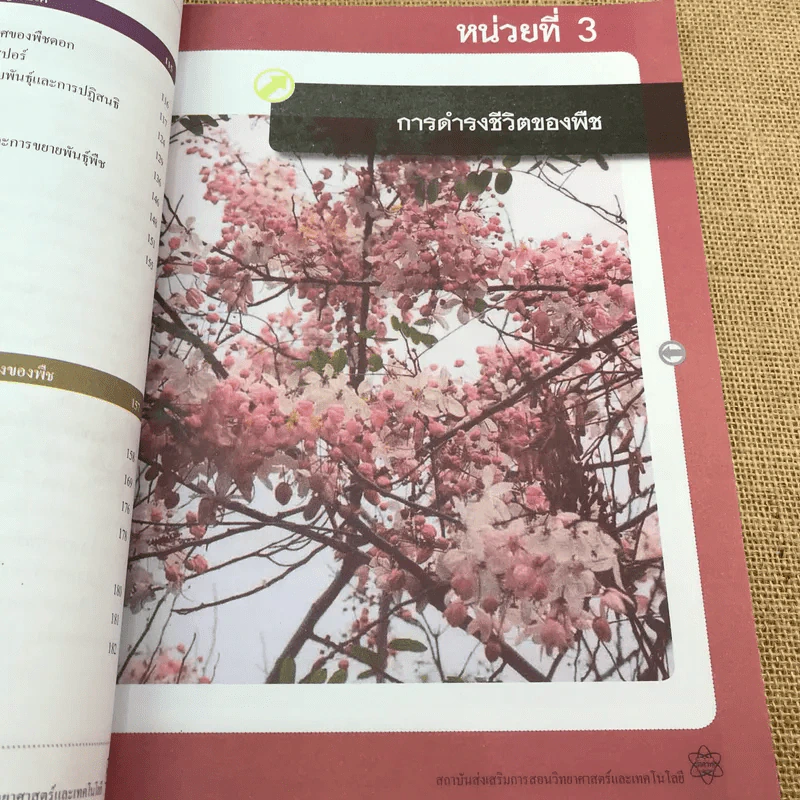 ชีววิทยา เล่ม 3 ชั้นมัธยมศึกษาปีที่ 4-6 รูปที่ 12