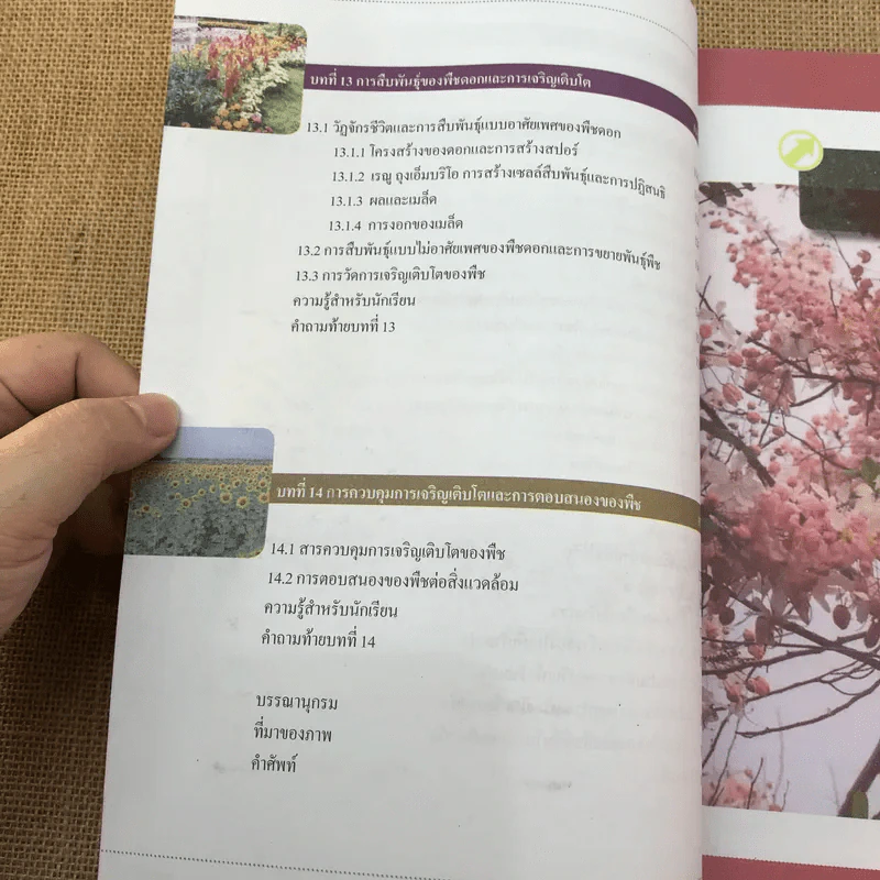 ชีววิทยา เล่ม 3 ชั้นมัธยมศึกษาปีที่ 4-6 รูปที่ 11