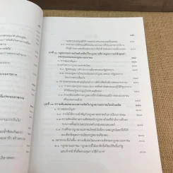 กฎหมายมหาชน เล่ม 2 - บวรศักดิ์ อุวรรณโณ รูปที่ 19