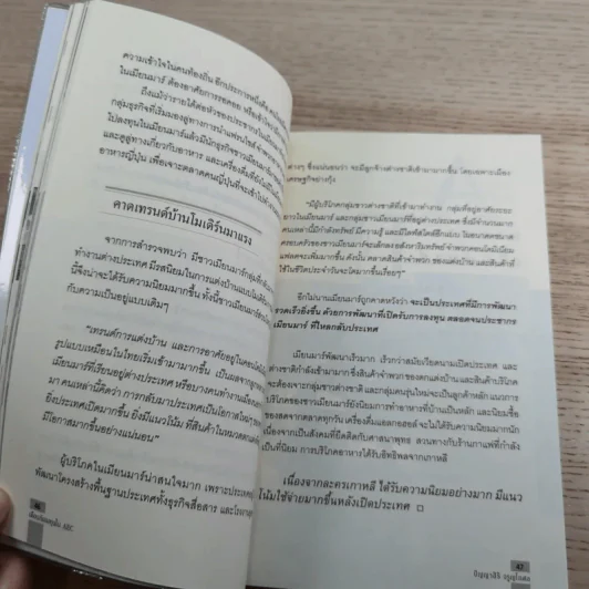 เตือนภัยลงทุนใน AEC - ปัญญาสิริ จรูญโกศล รูปที่ 13