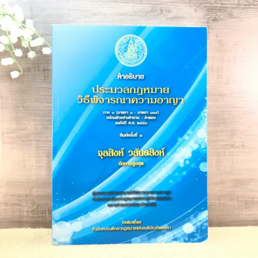 คำอธิบายประมวลกฎหมายวิธีพิจารณาความอาญา ภาค 1 - จุลสิงห์ วสันตสิงห์ รูปที่ 1