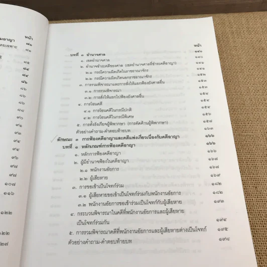 คำอธิบายประมวลกฎหมายวิธีพิจารณาความอาญา ภาค 1 - จุลสิงห์ วสันตสิงห์ รูปที่ 11