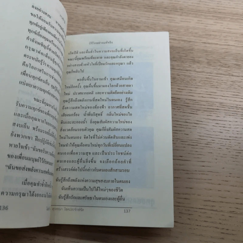 ไม่กลัว ไม่ตาย ฉบับใหม่ - สุวรรณา โชคประจักษ์ชัด รูปที่ 13