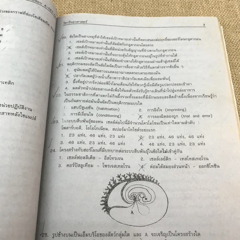 เฉลยข้อสอบ A-Net'49-50 - คณะอาจารย์จากจุฬาลงกรณ์มหาวิทยาลัย รูปที่ 10