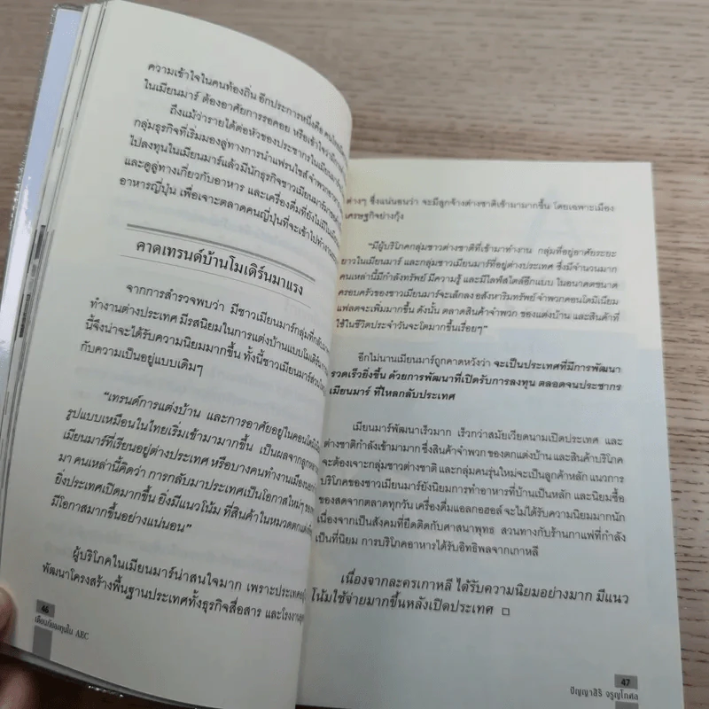 เตือนภัยลงทุนใน AEC - ปัญญาสิริ จรูญโกศล รูปที่ 13