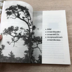 อ่านซะหน่อย ถ้าชีวิตต้องการแรงบันดาลใจ - หลักแก้ว อัมโรสถ รูปที่ 12
