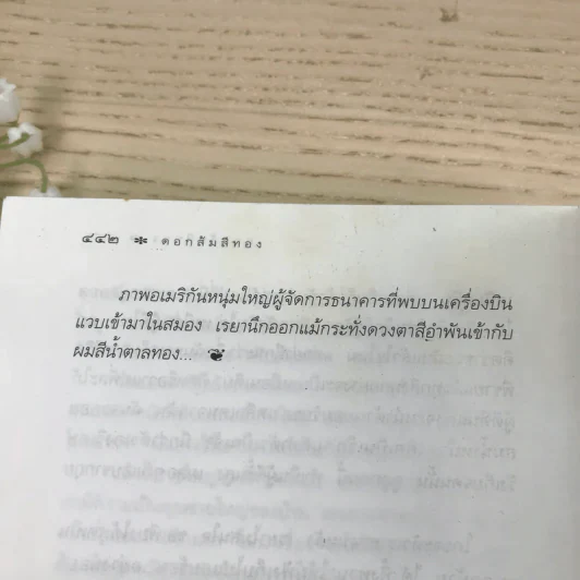 ดอกส้มสีทอง - ถ่ายเถา สุจริตกุล รูปที่ 11