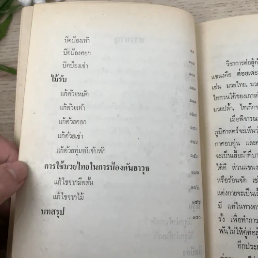 มวยไทย - ชัยสวัสดิ์ เทียนวิบูลย์ รูปที่ 9