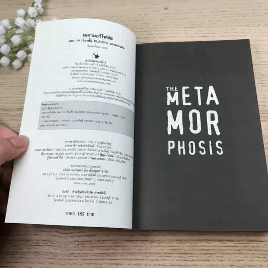 The Meta Mor Phosis เมตามอร์โฟซิส และ 14 เรื่องสั้น Classic ของเยอรมัน - Die Verwandlung รูปที่ 8