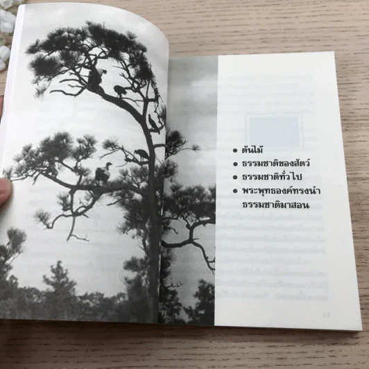 อ่านซะหน่อย ถ้าชีวิตต้องการแรงบันดาลใจ - หลักแก้ว อัมโรสถ รูปที่ 12