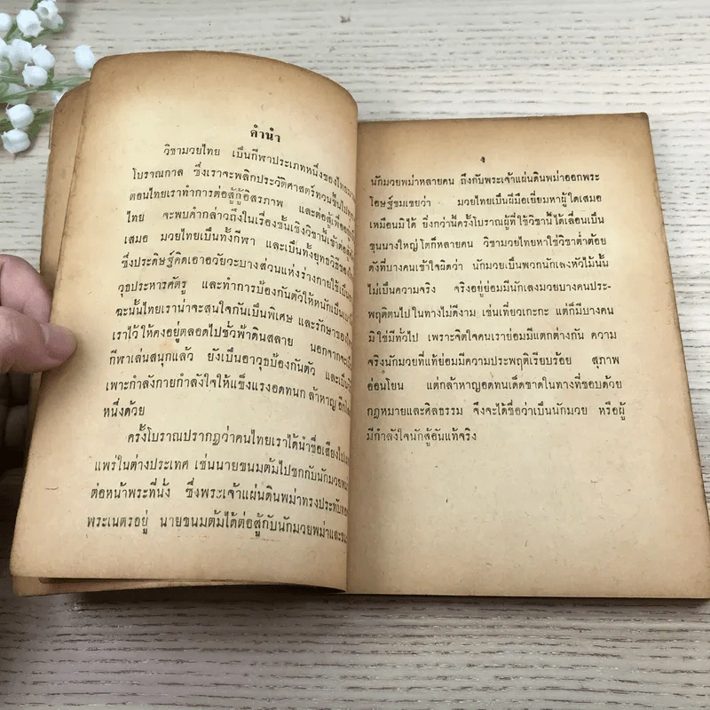 คู่มือมวยไทย - น.วงษ์ธน รูปที่ 10